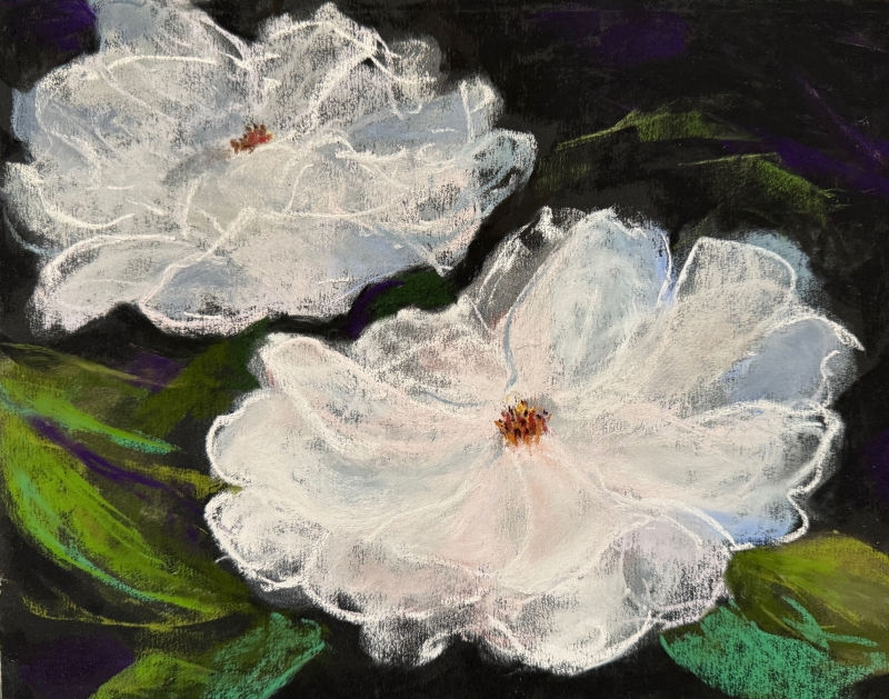 Iceberg Roses by artist Alison Suttle